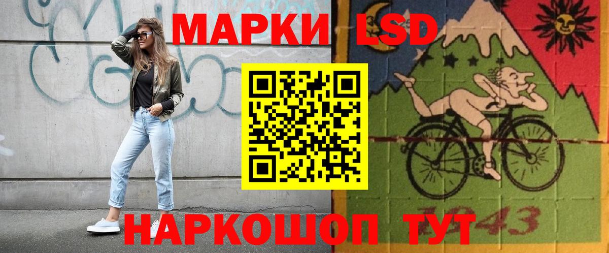 Курчатов  блэк спрут зеркало  Лсд 25 экстази ecstasy  Вход с VPN  ЛСД экстази кислота 