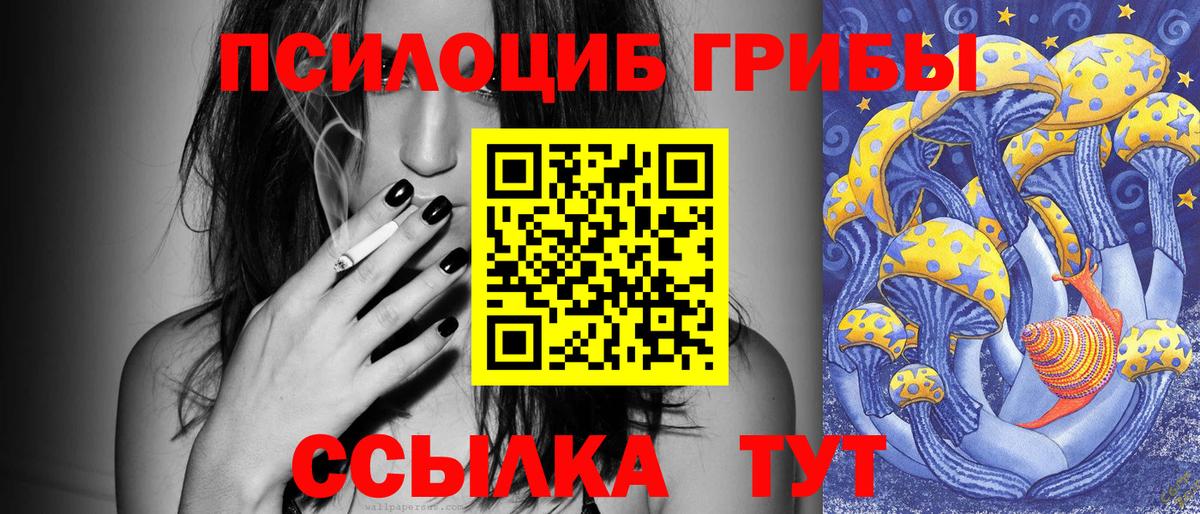 Курчатов  Псилоцибиновые грибы Psilocybine cubensis  Вход с VPN  Галлюциногенные грибы ЛСД 