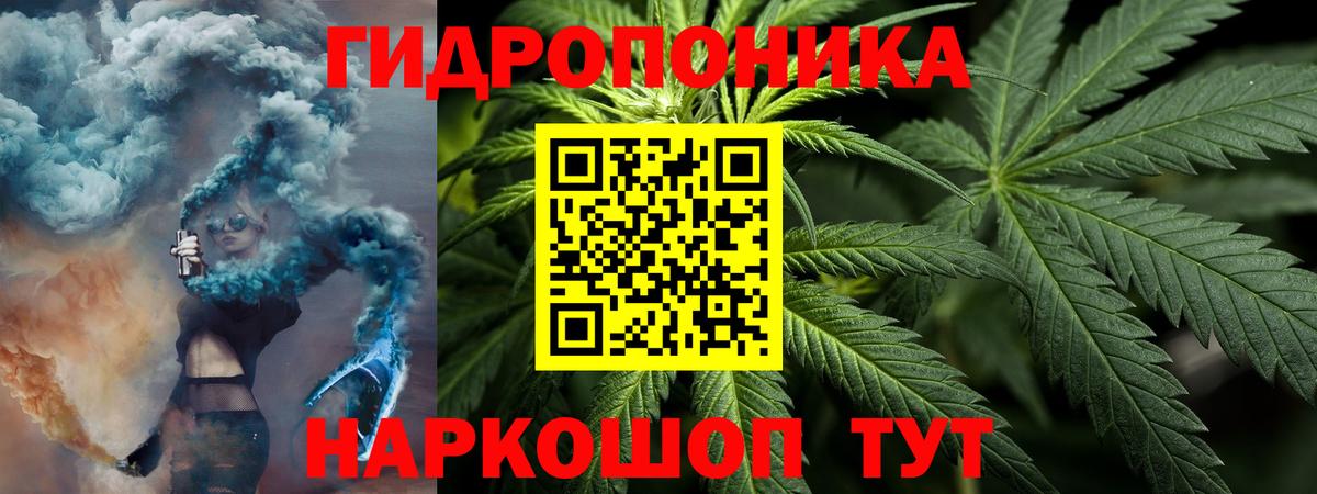 Бошки марихуана White Widow Курчатов